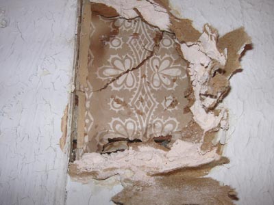 removing wallpaper from drywall. 15 minutes to remove one